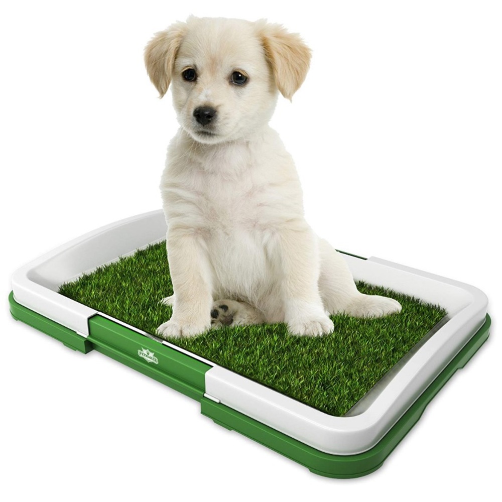 Dog Indoor Synthetic Grass Potty Trainer - Picture 1 of 7